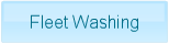 Fleet Washing