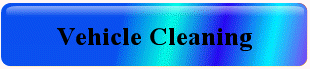 Vehicle Cleaning